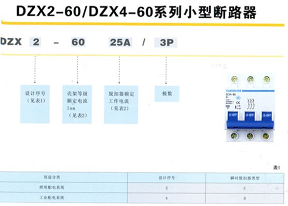 DZX2-60x͈D